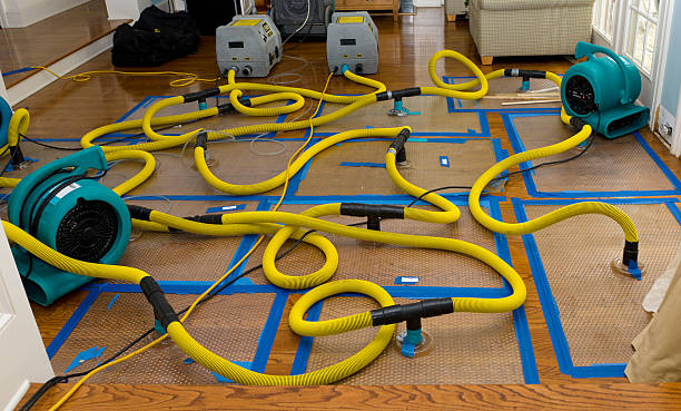 Professional Sewage Cleanup technician working in Floodwood, MN